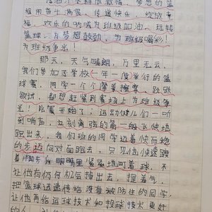 篮球训练的收获感想怎么写三年级